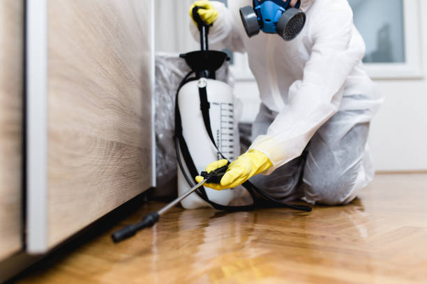Best Best Pest Control Companies  in Richfield, MN