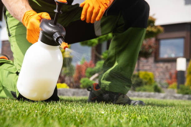 Best Affordable Pest Control Services  in Richfield, MN