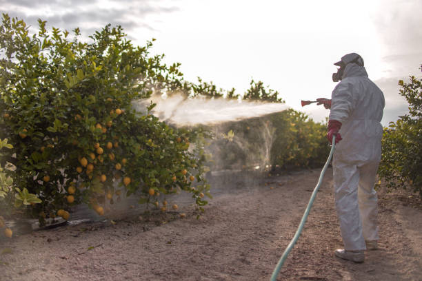 Best Pest Inspection Near Me  in Richfield, MN