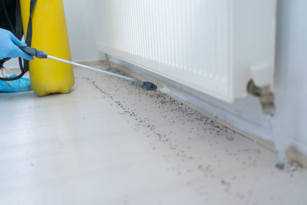 Best Pest Prevention Services  in Richfield, MN